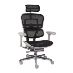 Fotel Ergohuman 2 Elite GS Black
