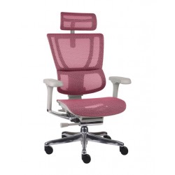 Krzesło Ergonomiczne IOO 2