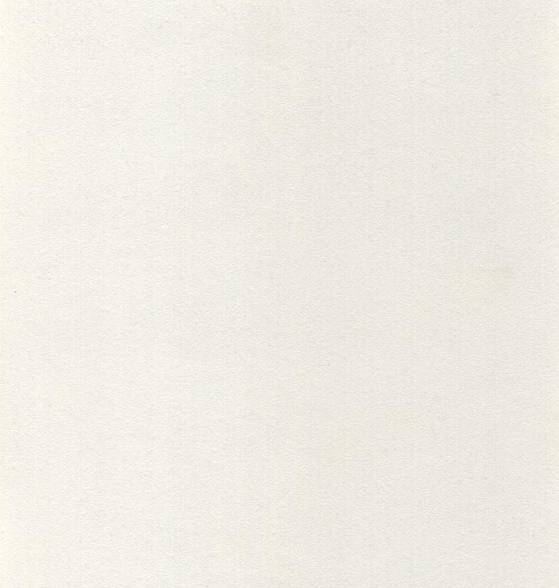 nogi białe w